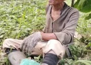 Hasil Panen Menurun, Mustafa Warga Desa Teluk Dawan Keluhkan Air Limbah Ngalir ke Perkebunan