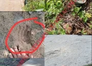 Diduga Pormalitas, Oknum Kades Laman Satong Bagun Rabat Beton “Asal Jadi”