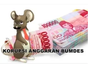 Dugaan Penggelapan Bumdes Pekon Ringin Jaya, LSM tekad RI Mintak PJ Bupati Evaluasi Kinerja Irban