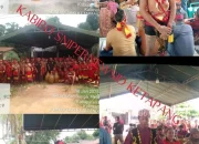 Hukum Adat Dayak Pesaguan Bagi Pelaku Perusak Aitus Keramat yang Tak Bertanggungjawab