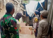 Pohon Tumbang di Lebak Barang Pekalongan Timpa Dua Rumah 