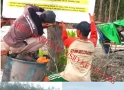 Diharapkan Polda Kalbar dan GAKKUM-KLHK Kalimantan tindak Tegas Terkait Dugaan Oknum Kades Jadi Beking Aktivitas PETI