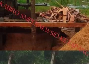 Beberapa Unit Serikel di Desa Batu Daerah Ketapang Mengolah Kayu Perambahan Hutan Diduga Penegak Hukum Diam Diri