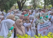 Nasib Honorer ,Tantangan ,Harapan di Tanah ke Lahiran nya.