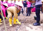 Pemkab Labuhanbatu Dukung Program Strategis Nasional Berupa Penanaman Jagung Serentak Satu Juta Hektar