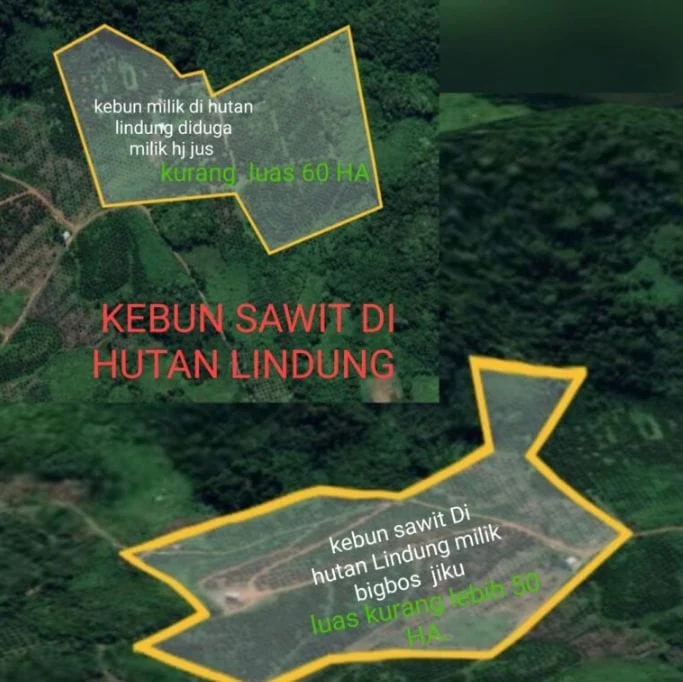 Kelompok Tani Sawit Mandiri Bantah Caplok Hutan Lindung Bukit Konar IMG-20250207-WA0027