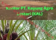 Diduga PT. KAL Ingkar Janji, Lahan 6 Hektar Desa Kuala Tolak Tak Kunjung Direalisasikan, Warga Kehilangan Kepercayaan