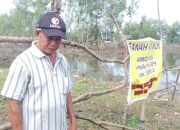 Ambo Masse Bantah Tebang Mangrove, Pertanyakan Status Hukumnya