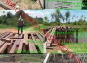 Masyarakat Desa Baru Meminta APH Beck List CV.Wiseva Mendalam