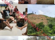 Dugaan Pelanggaran Kemitraan, Pemerintah Desa Kamora Laporkan PT. Swadaya Mukti Prakarsa (PT.SMP) ke Bupati Ketapang