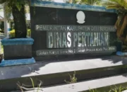 “Kebijakan PLT Kabid PSP Diduga Ancam Swasembada Pangan di Batang Kuis”