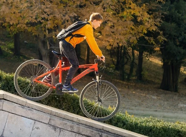 Screenshot_20250601_205637 (1)