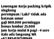 Waspada! Modus Baru Penipuan Berkedok Lowongan Kerja di Facebook, Arahkan Pengguna ke WhatsApp untuk Klik Aplikasi Iklan