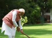 PM India Tanam Pohon Sindoor di Hari Lingkungan Hidup Sedunia: Simbol Keberanian Perempuan Kutch dalam Perang 1971