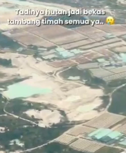 Unggahan Viral: Soroti Kerusakan Alam di Papua dan Kalimantan, Warganet Pertanyakan Standar Ganda Penegakan Hukum Lingkungan Screenshot_20250609_140858 (1)