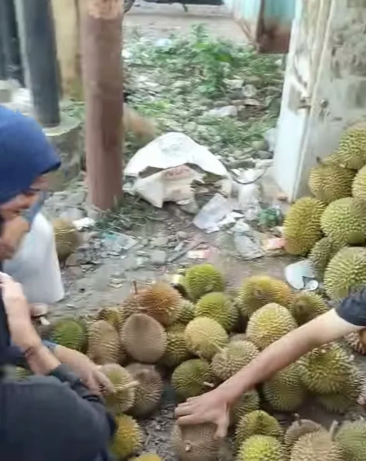 Screenshot_20250609_174122 (1)