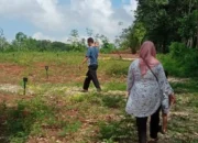 Viral! Kavling di Mataram Cuma 10 Jutaan, DP Cuma 3 Juta Bisa Dicicil 10 Bulan-Buruan Tinggal Tiga Lagi!
