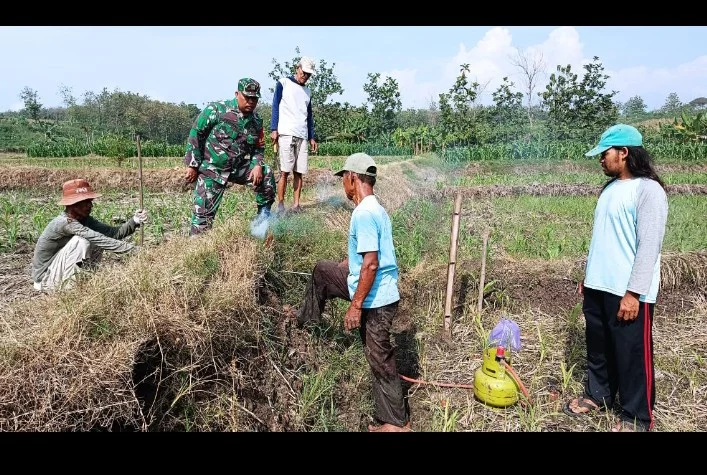 Screenshot_20250616_231425 (1)