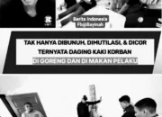 Sadis dan Mengguncang! Daging Kaki Korban Digoreng Usai Dibunuh: Misteri Mutilasi Tragis di Painan Baru Terungkap Setelah 2 Tahun