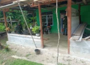 Bukan Sekadar Patroli, TNI Yonif 642/Kps Sambangi Rumah Warga di Pelosok Fakfak dan Beri Motivasi Hidup