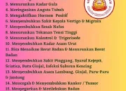 “Terapi Sehat Tanpa Tarif: Bekam Syariah Singo Wande Buka Layanan Panggilan ke Rumah, Gratis dan Penuh Berkah”