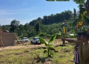 Tanah Kavling Strategis Dekat RSUD Pringsewu Hanya 25 Jutaan, DP Cuma 5 Juta! Warga Berlomba Pinang Lokasi Emas Ini