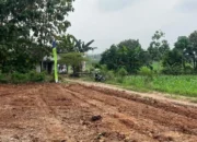 “Tanah Murah di Pesawaran: Cicil 10 Bulan Tanpa Bunga, Lokasi Strategis Dekat Permukiman!”