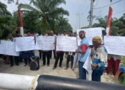 Diduga Rubah Kawasan Hutan Jadi Kebun Kelapa Sawit, Kelompok 80 Minta Presiden Tutup PT DMK
