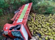 Truk Gas Tergelincir di Jembatan Sori Mangge: Pengingat Nyata untuk Berdoa dan Berkendara dengan Hati-Hati