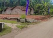 Rebut Sekarang! Tanah Murah Pinggir Aspal di Sukoharjo, Bisa Dicicil Tanpa Bunga!