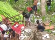 Nyaris Terjun ke Sungai! Truk Hajatan Gagal Nanjak di Ngawi, Jadi Pengingat Pentingnya Waspada Berkendara
