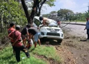 “Ngebut Jadi Kubut?!” Mini Bus Tabrak Pohon di Jalur Pantura Cirebon, Sopir Muntahkan Darah di Tempat