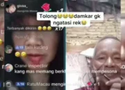 Penuh Kemesraan, Cinta Tak Mengenal Usia, Video Romantis Ini Jadi Trending Topik!