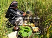 Tradisi Ladang: Harmoni Alam dan Doa Petani