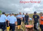 TNI AU Panen Jagung Bareng Petani Binaan di Konawe: Bukti Nyata Ketahanan Pangan dari Langit ke Bumi
