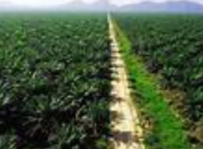 Screenshot_20250715-211744_1