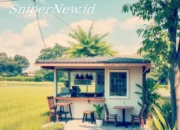 Ngopi di Tengah Sawah: Gaya Hidup Desa yang Jadi Incaran Kaum Urban