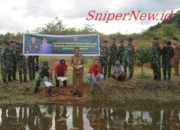 5000 Ikan Belida Dilepas di Badau! Wisata dan Ekonomi Warga Siap Menggeliat