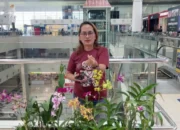 Koper, Harapan, dan Langkah Baru: Perempuan Ini Buktikan Kegagalan Bukan Akhir Cerita
