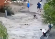 Waspada Tsunami Akibat Gempa Dahsyat di Hawaii