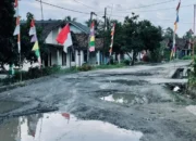 Jelang HUT RI, Jalan Berlubang di Lampung Tuai Kritik Netizen