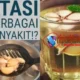 Dapatkan Manfaat Terbaik! Konsumsi Air Rebusan Bawang Putih, Bagus Untuk Kesehatan