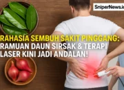 Rahasia Sembuh Sakit Pinggang: Ramuan Daun Sirsak dan Terapi Laser Kini Jadi Andalan!