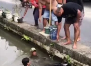 Ngebut Dikejar Anjing, Motor Masuk Selokan di Sleman!, Siap dia?