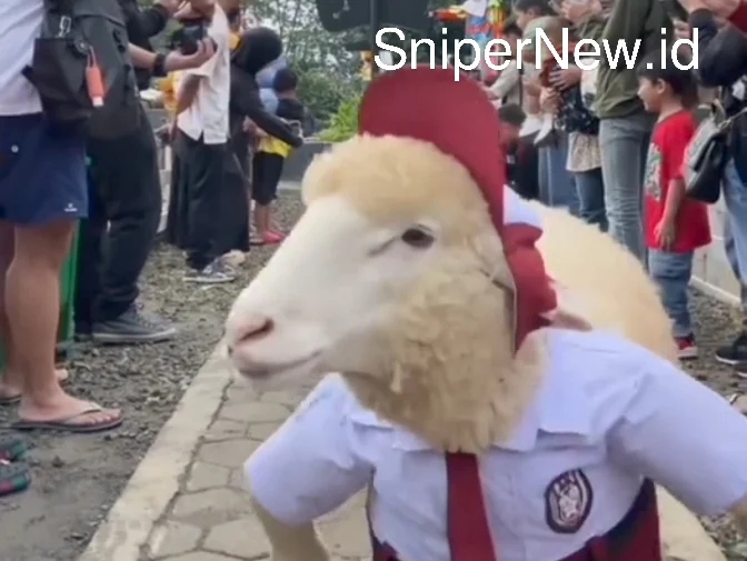 Screenshot_20250804-101905_1