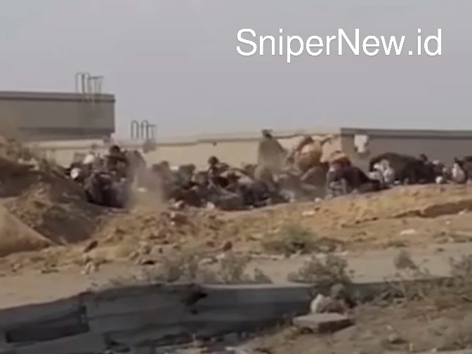 Pembantaian di Gaza: Pasukan Israel Tembaki Warga Sipil di Lokasi Bantuan Screenshot_20250805-021555_1