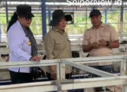 Ayodhya Farm: Inspirasi UMKM Peternakan Modern dari Gunungkidul