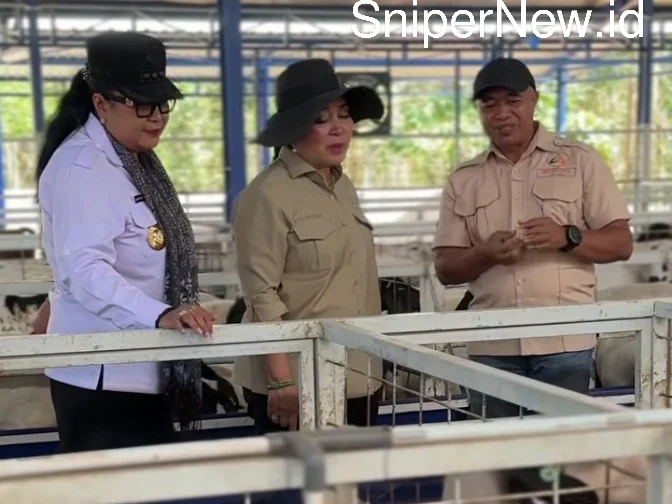 Ayodhya Farm: Inspirasi UMKM Peternakan Modern dari Gunungkidul Screenshot_20250808-021910_1