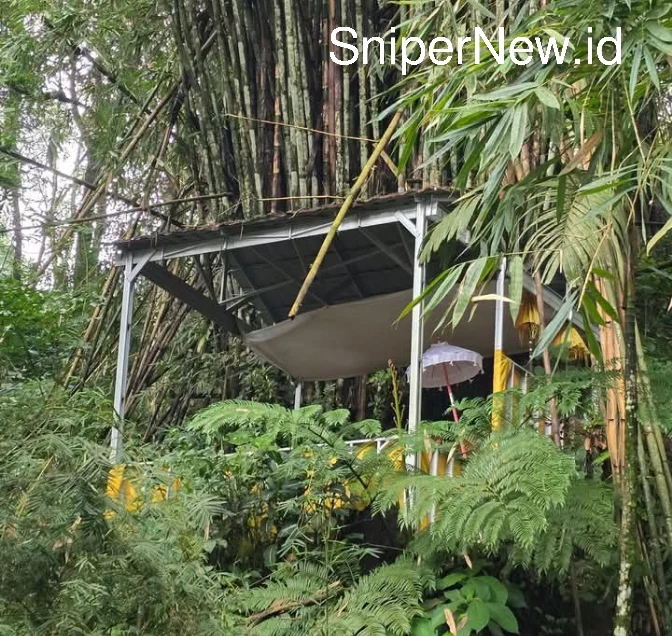 Screenshot_20250808-105253_1