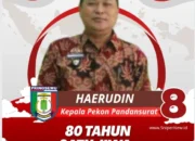 Haehudin Kepala Pekon Pandan Surat: 80 Tahun Indonesia Merdeka: Satu Jiwa, Satu Indonesia